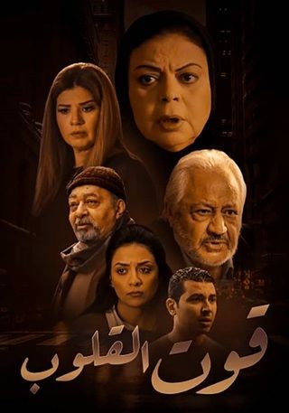 مشاهدة مسلسل قوت القلوب موسم 1 حلقة 13